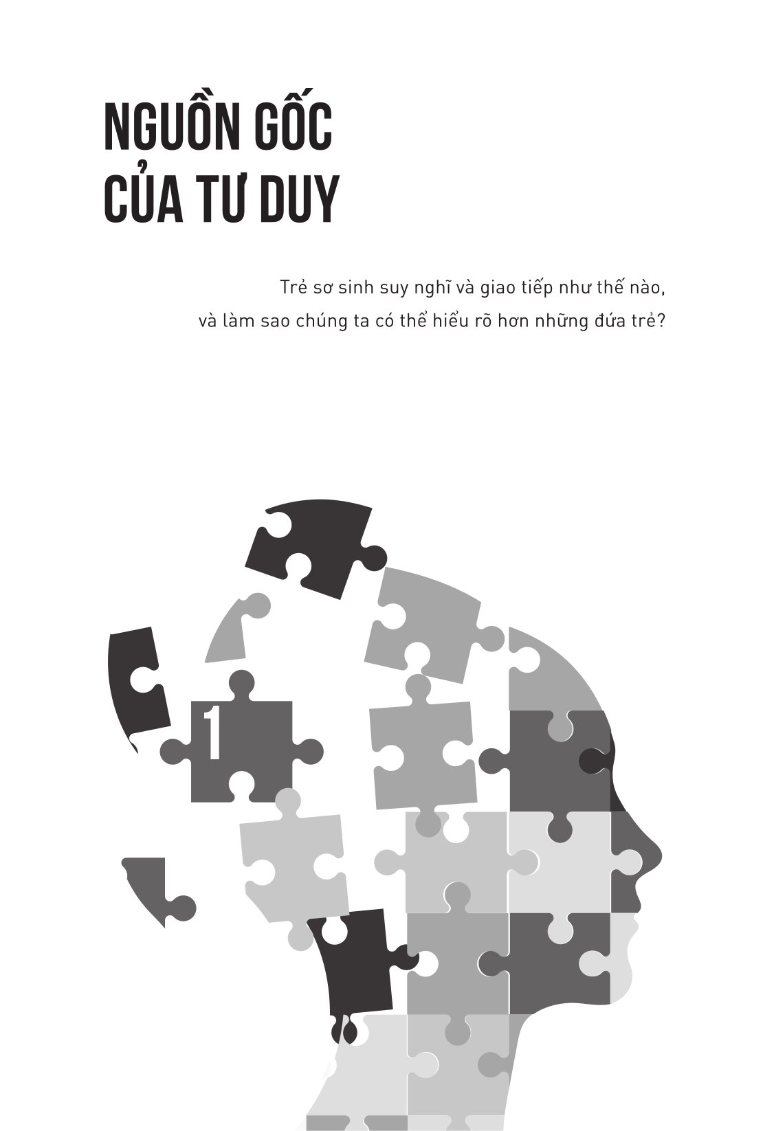 Bí Mật Của Tâm Trí - Cách Não Bộ Suy Nghĩ, Cảm Nhận Và Ra Quyết Định