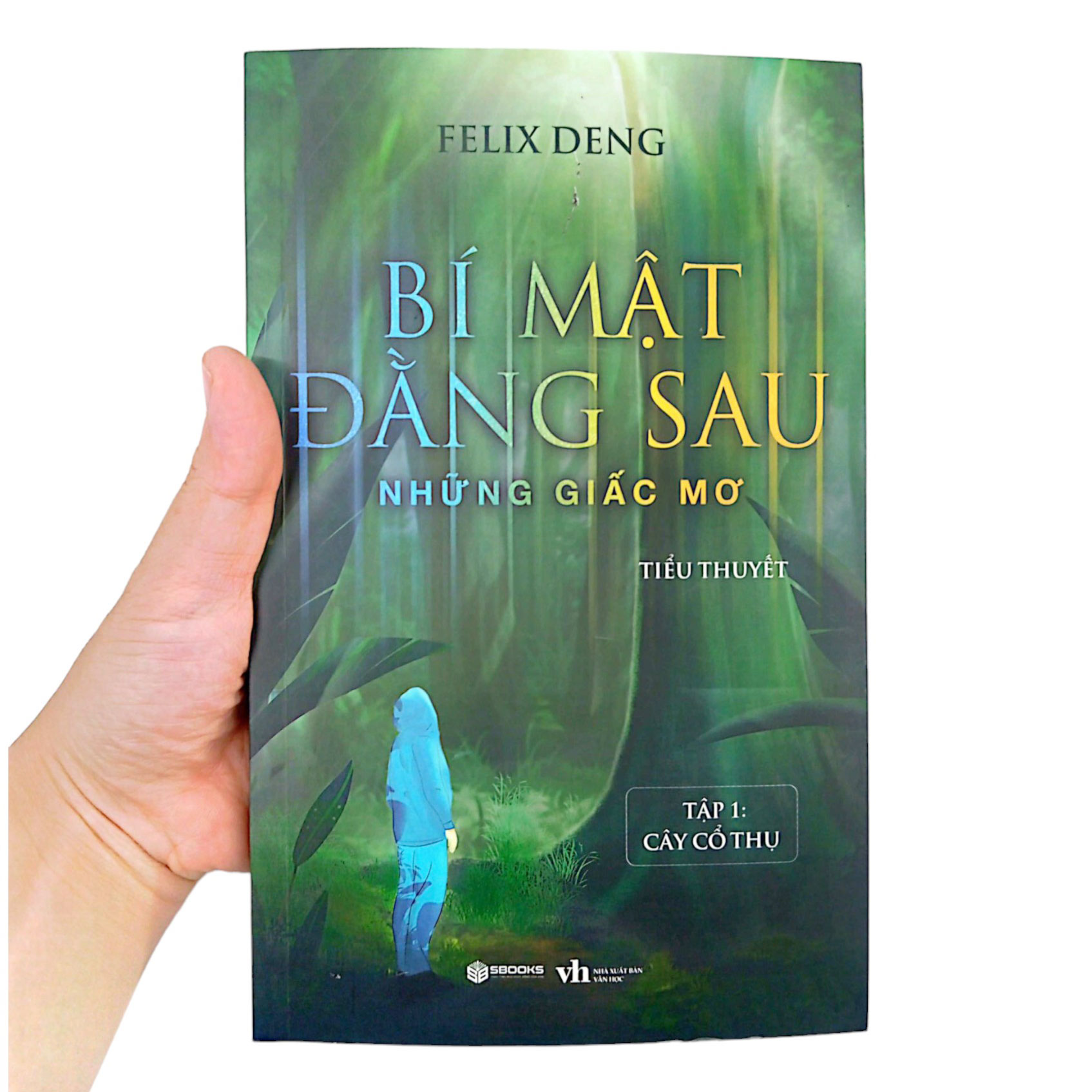 bí mật đằng sau những giấc mơ