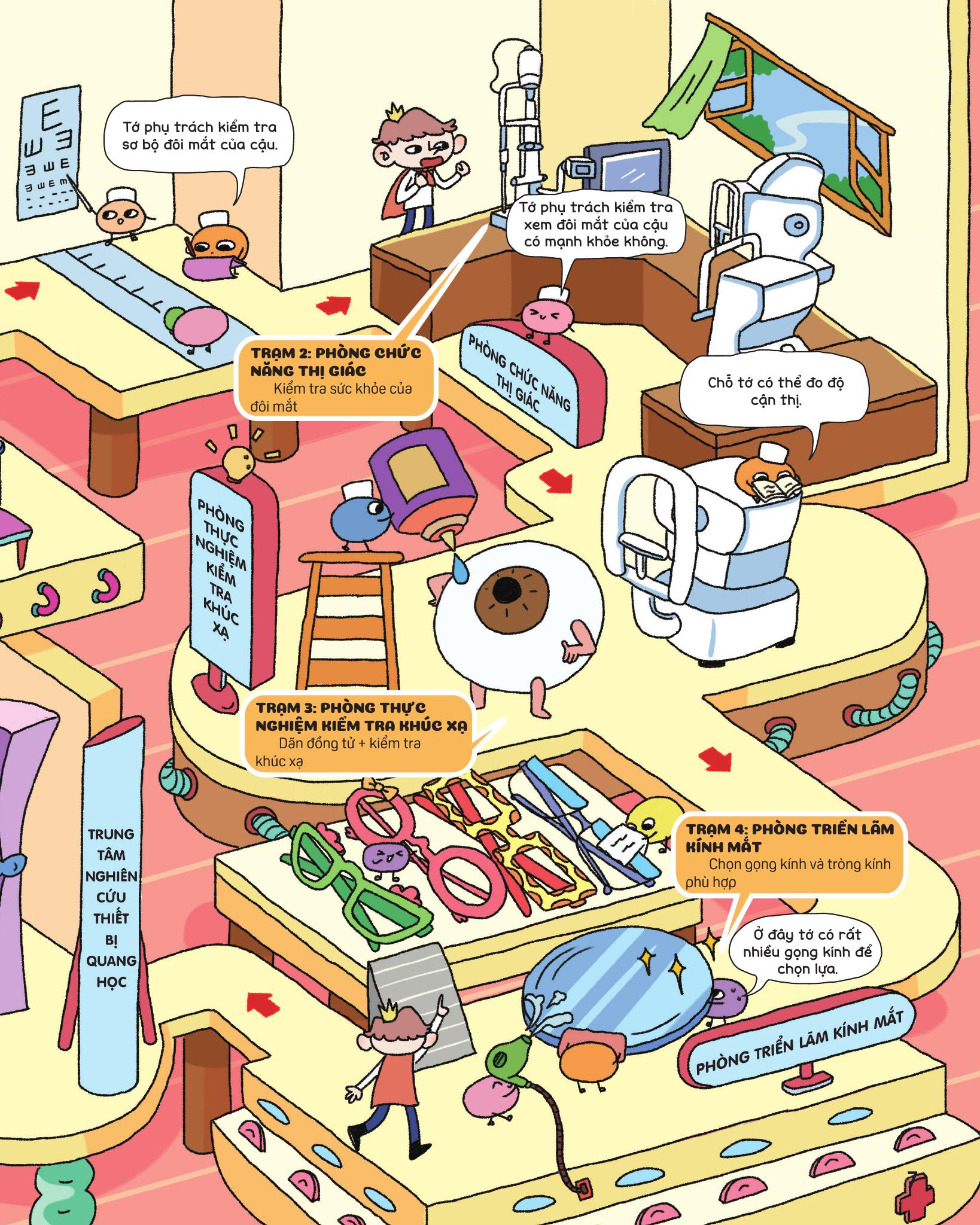 Bi Mat Doi Mat - Cac Loai Mat Kinh