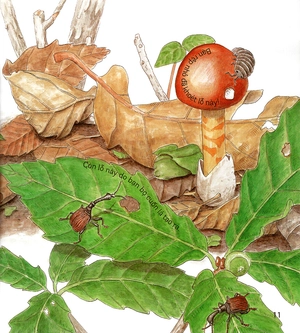 bí mật những chiếc lỗ (tái bản 2019)