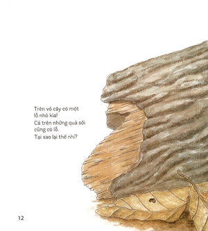 bí mật những chiếc lỗ (tái bản 2019)