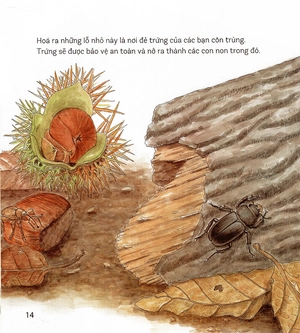 bí mật những chiếc lỗ (tái bản 2019)