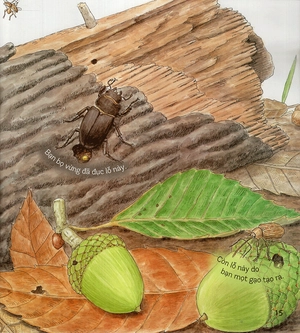 bí mật những chiếc lỗ (tái bản 2019)