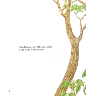 bí mật những chiếc lỗ (tái bản 2019)