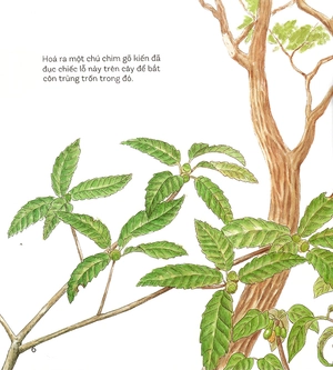 bí mật những chiếc lỗ (tái bản 2019)