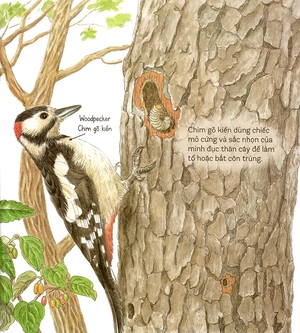 bí mật những chiếc lỗ (tái bản 2019)