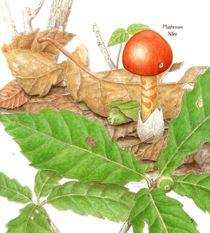 bí mật những chiếc lỗ (tái bản 2019)