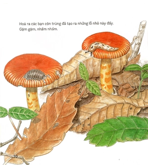 bí mật những chiếc lỗ (tái bản 2019)