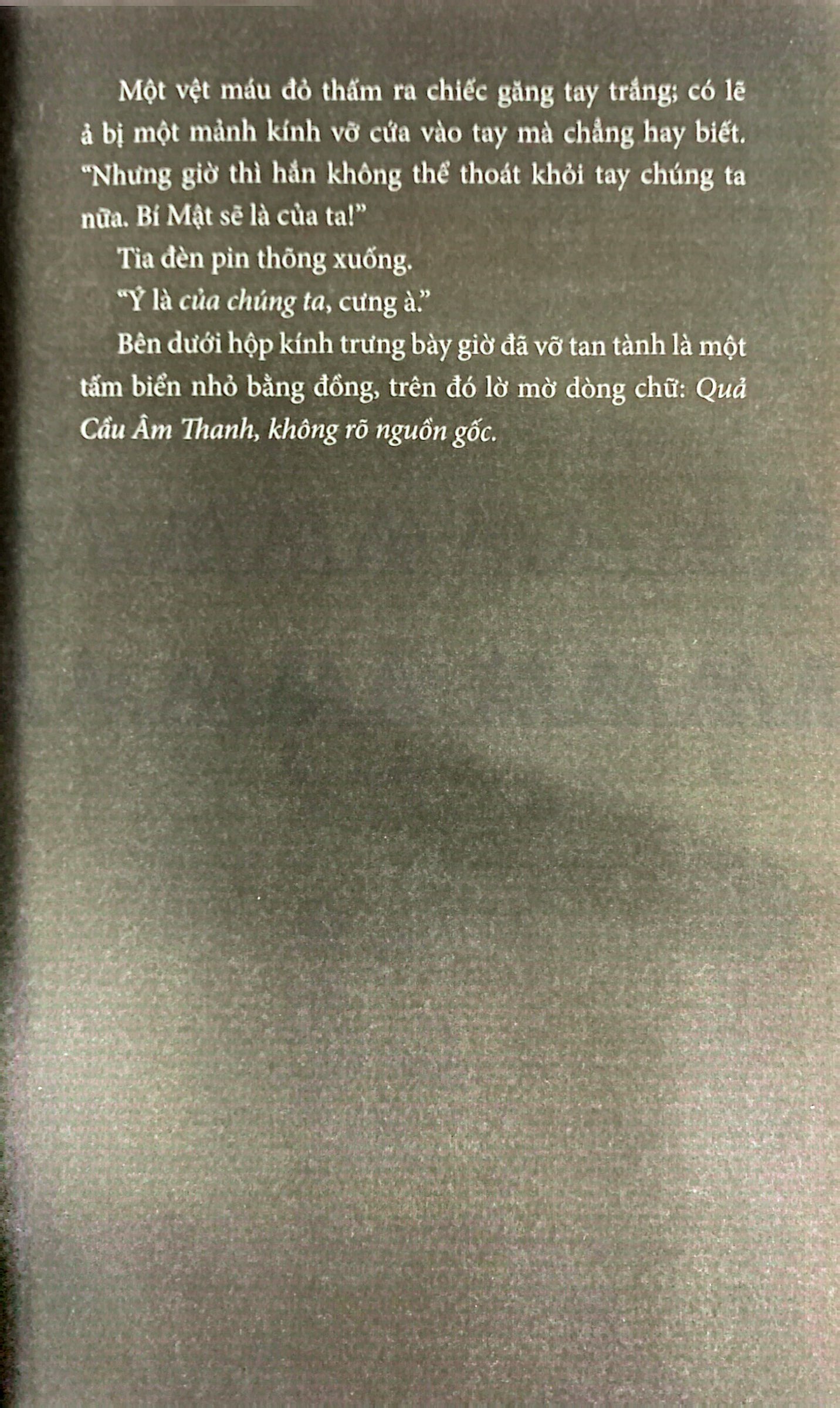 bí mật - tập 2 - đã quá muộn khi bạn đọc cuốn sách này