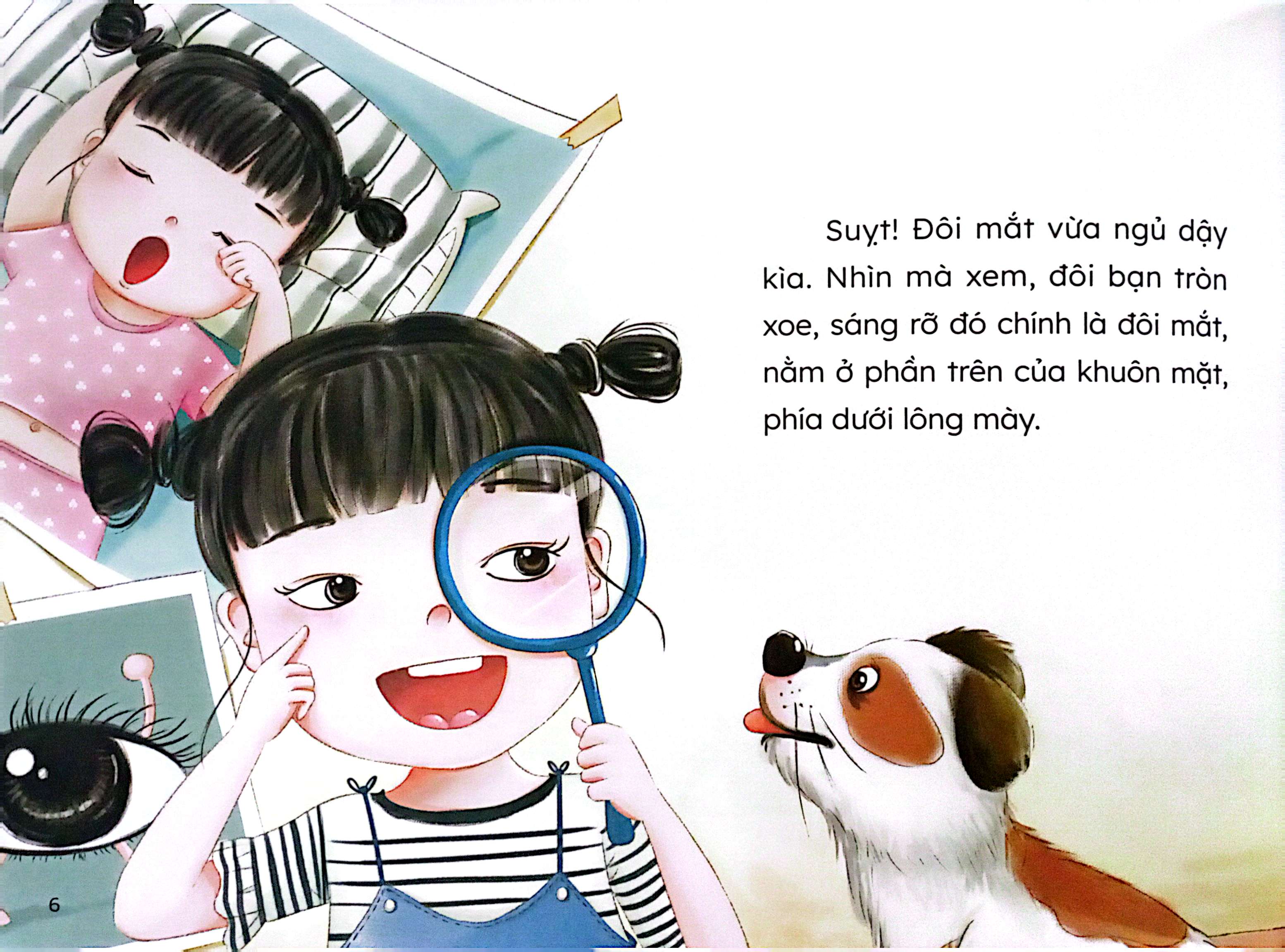 bí mật về cơ thể chúng mình - mắt sáng tinh nhanh