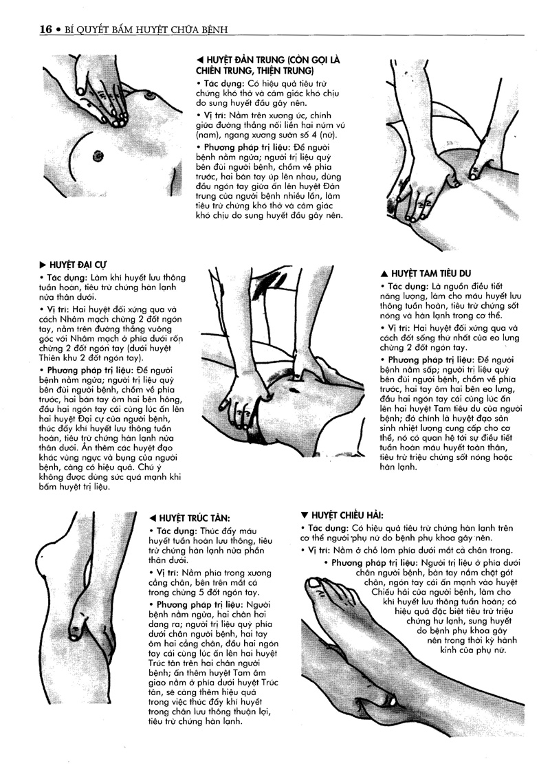 bí quyết bấm huyệt chữa bệnh (tái bản 2022)