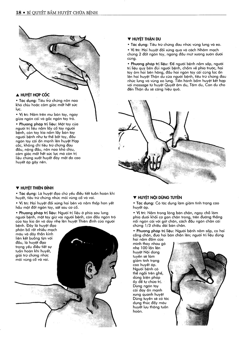 bí quyết bấm huyệt chữa bệnh (tái bản 2022)