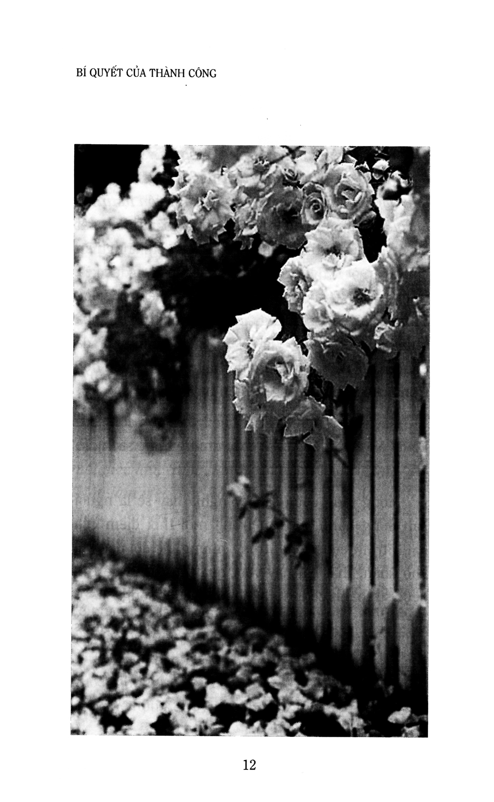 bí quyết của thành công (khổ lớn) (tái bản 2019)