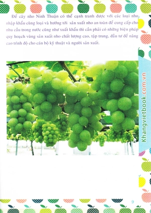 bí quyết thành công kĩ thuật trồng nho hiệu quả