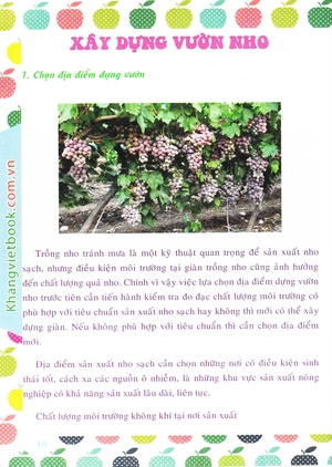 bí quyết thành công kĩ thuật trồng nho hiệu quả