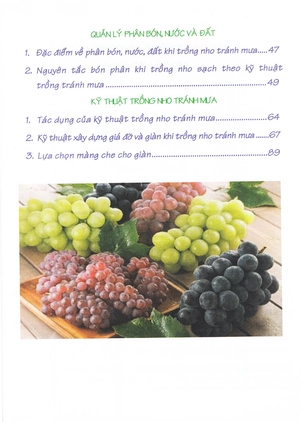 bí quyết thành công kĩ thuật trồng nho hiệu quả