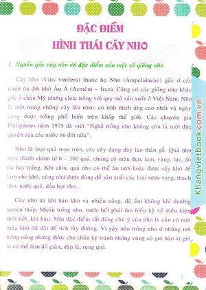 bí quyết thành công kĩ thuật trồng nho hiệu quả