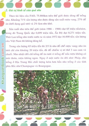 bí quyết thành công kĩ thuật trồng nho hiệu quả