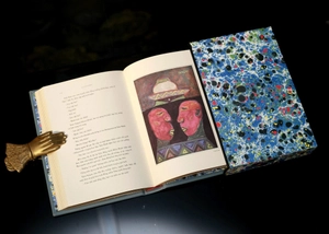 bỉ vỏ - ấn bản giới hạn - bìa da microfiber