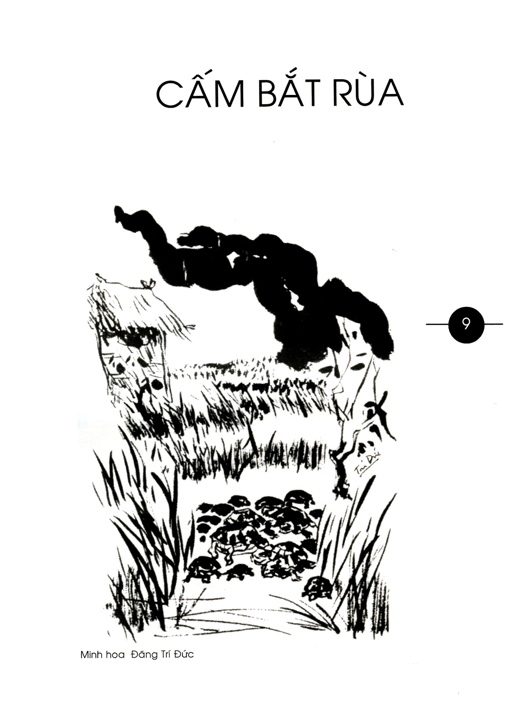 biển cỏ miền tây và hình bóng cũ