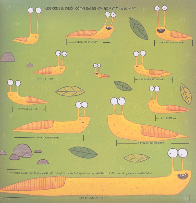 biết tuốt về đo lường