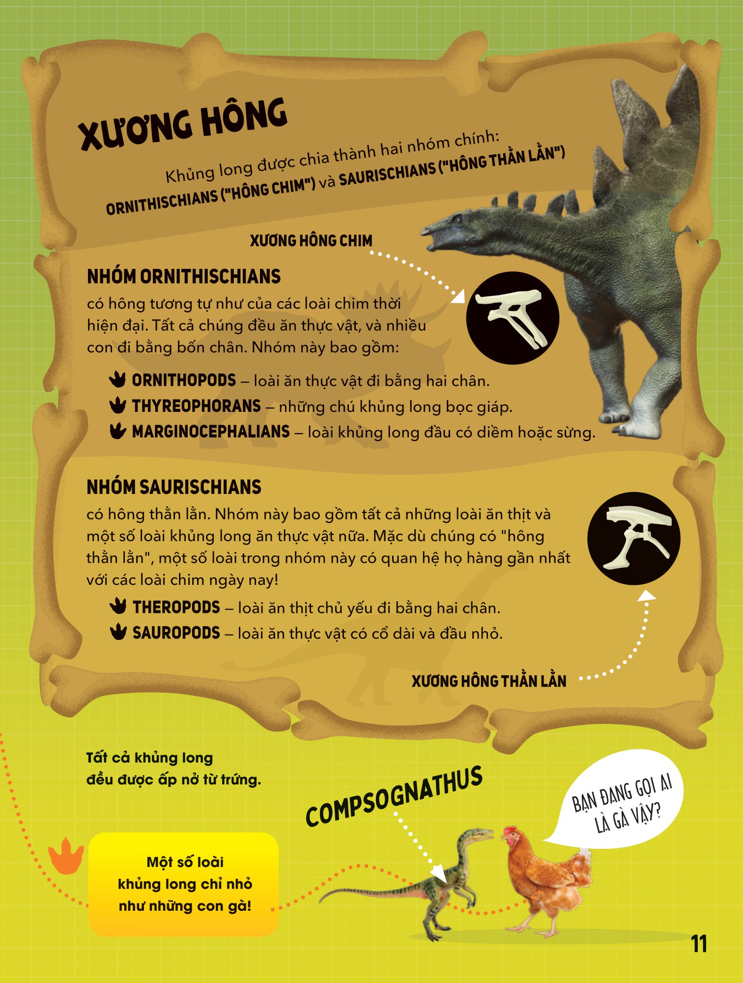 big bang - bách khoa và khám phá - thế giới khủng long