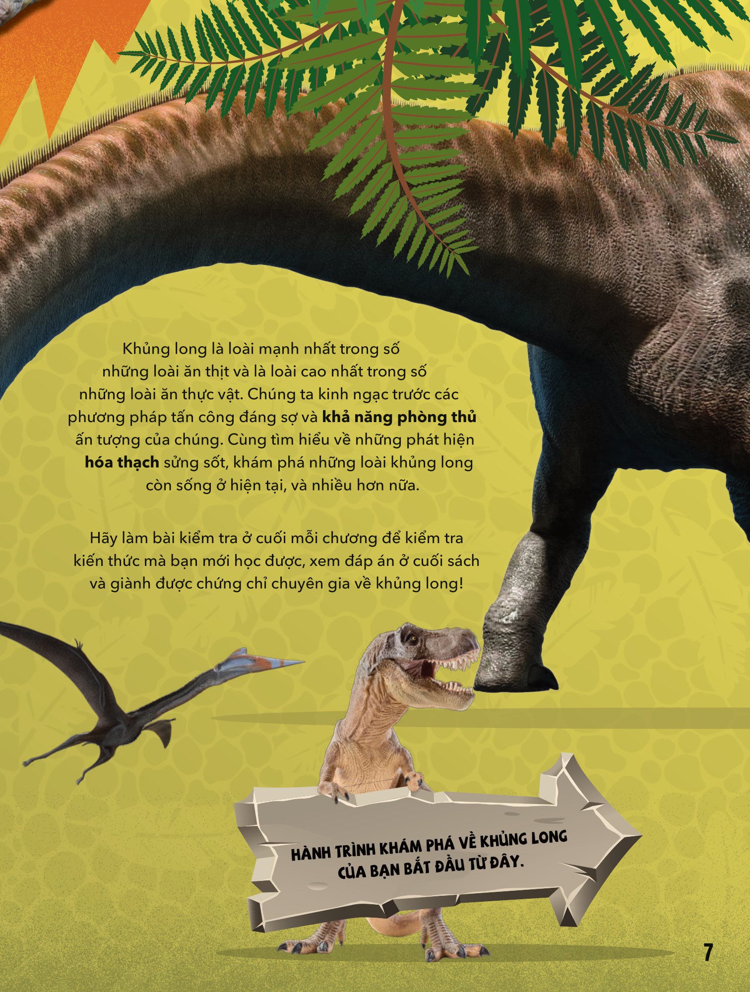 big bang - bách khoa và khám phá - thế giới khủng long