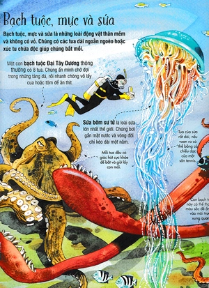 big book - cuốn sách khổng lồ về các loài động vật biển (tái bản)