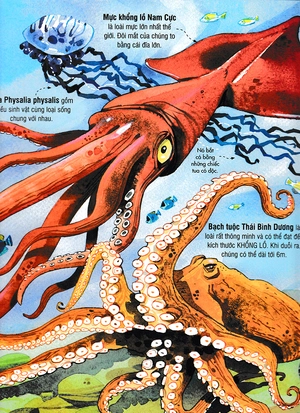 big book - cuốn sách khổng lồ về các loài động vật biển (tái bản)