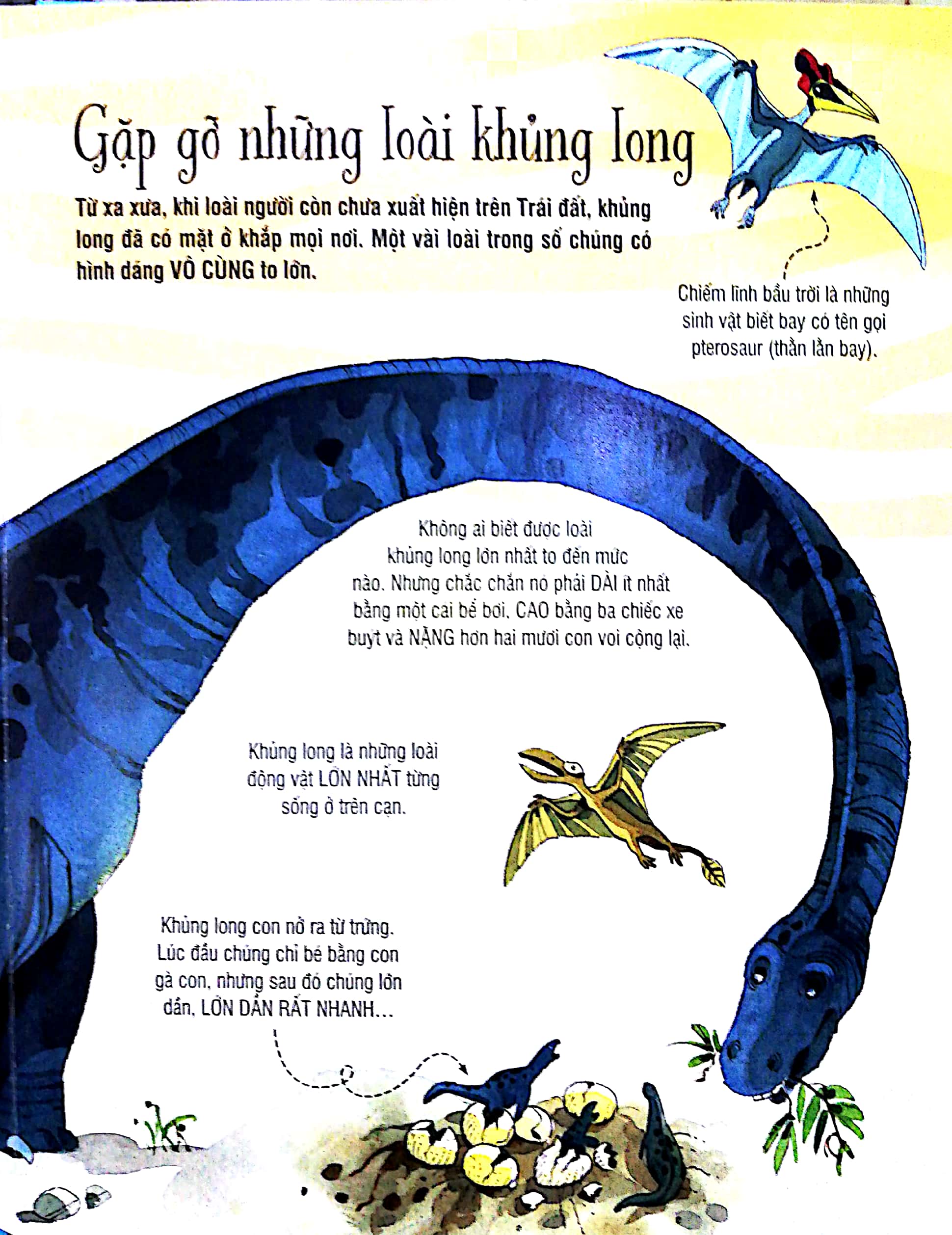 big book - cuốn sách khổng lồ về các loại khủng long (tái bản 2018)