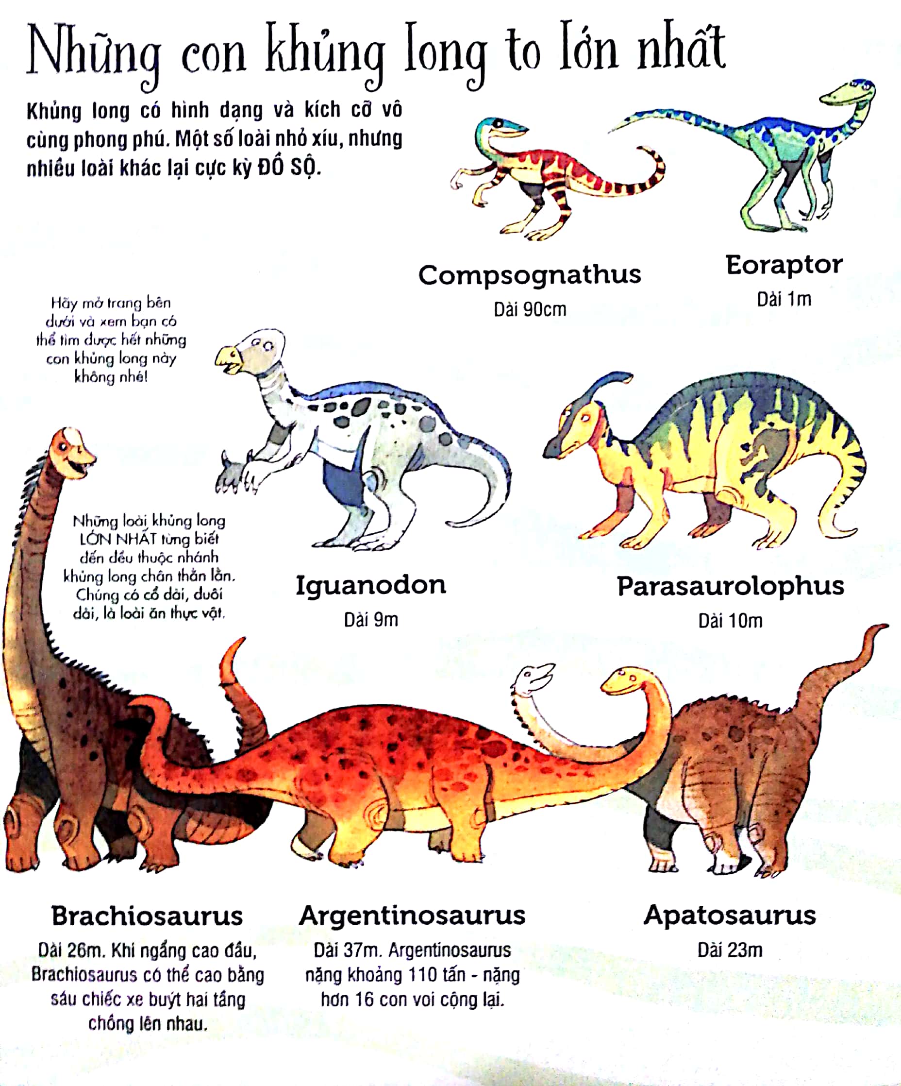 big book - cuốn sách khổng lồ về các loại khủng long (tái bản 2018)