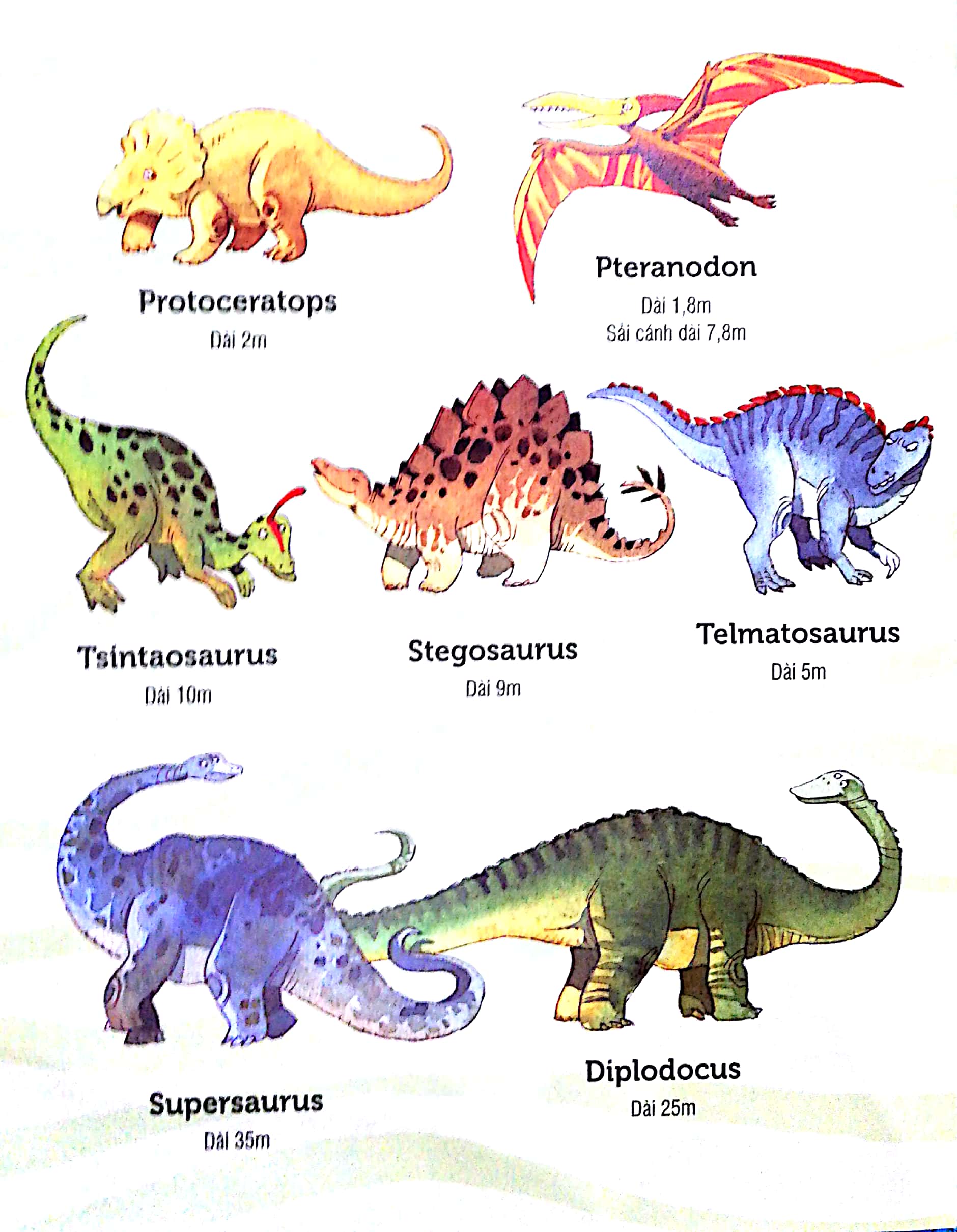 big book - cuốn sách khổng lồ về các loại khủng long (tái bản 2018)