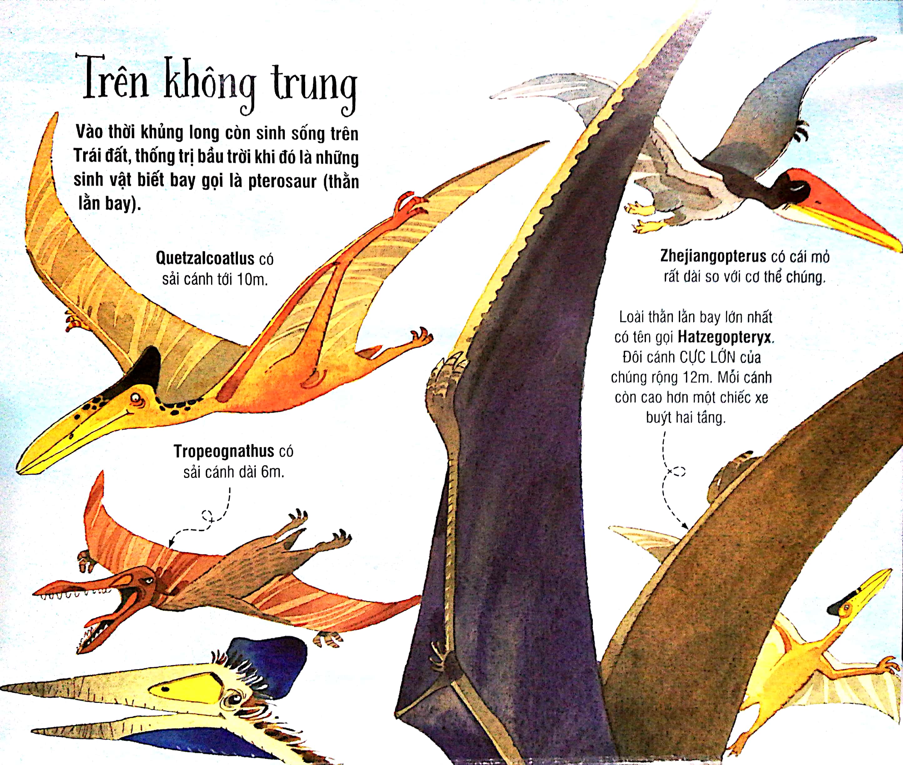 big book - cuốn sách khổng lồ về các loại khủng long (tái bản 2018)