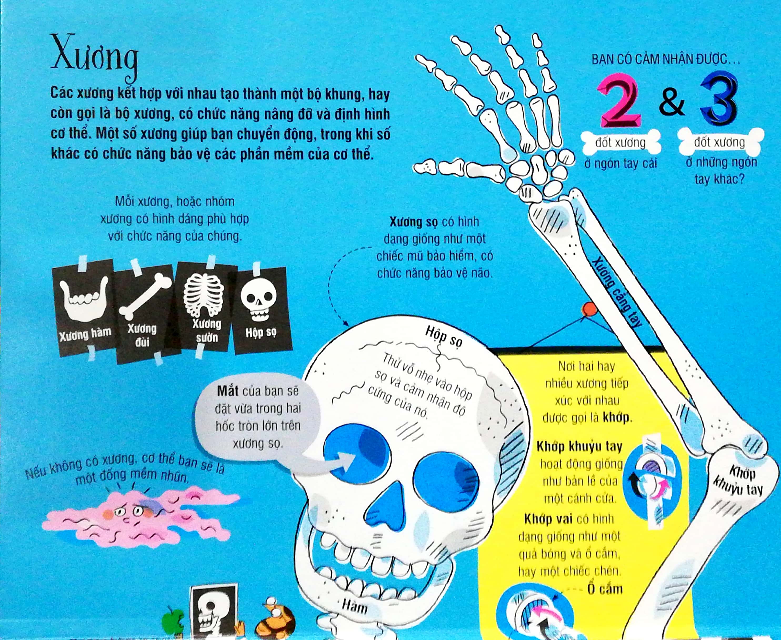 big book - cuốn sách khổng lồ về cơ thể người (tái bản)