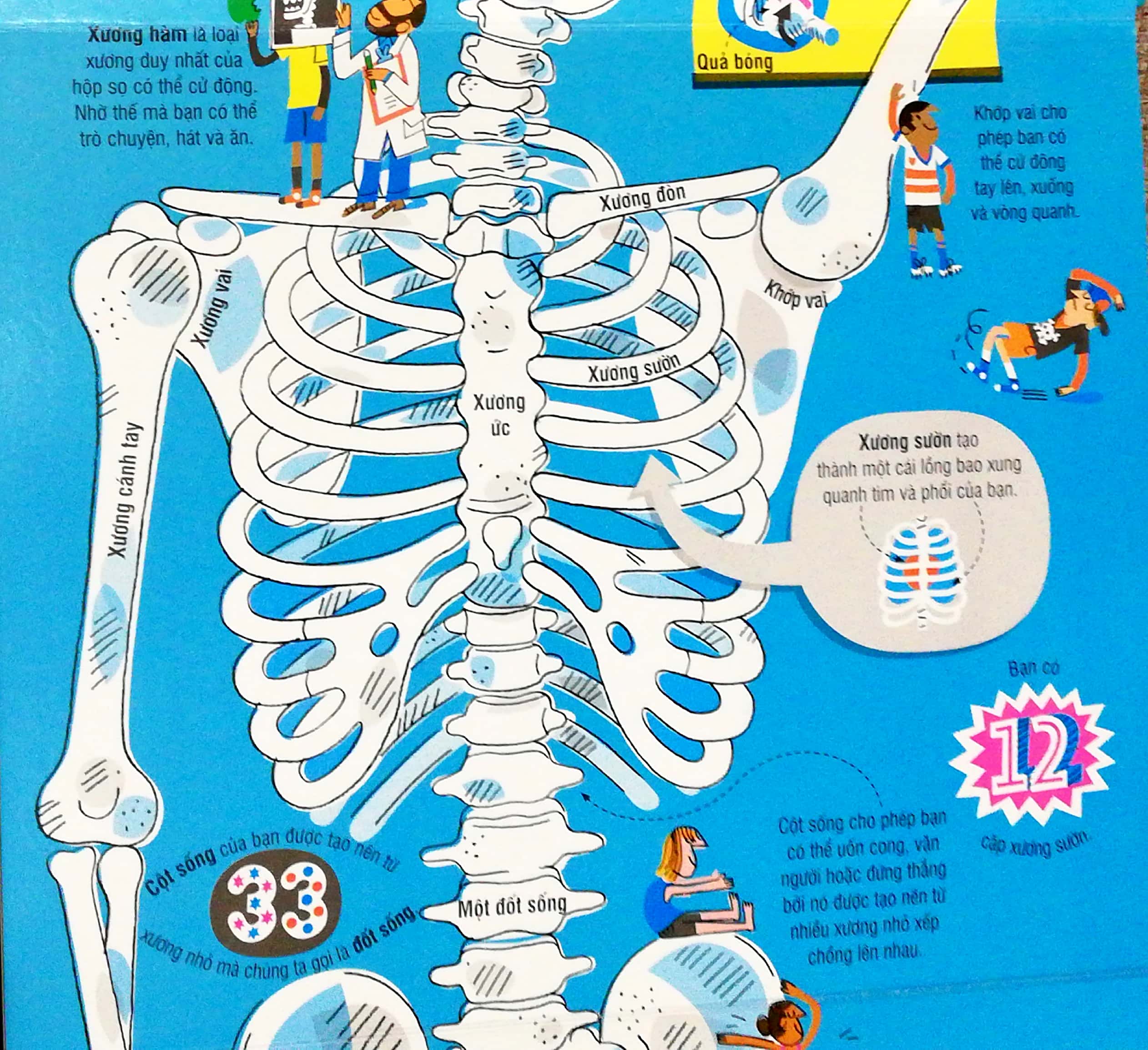 big book - cuốn sách khổng lồ về cơ thể người (tái bản)