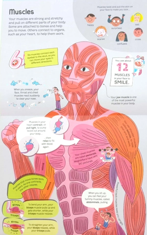 big book of the body