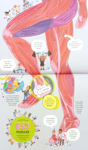 big book of the body