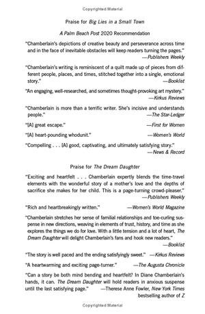 big lies in a small town