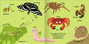 big words for little experts - animals