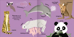 big words for little experts - animals