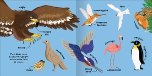 big words for little experts - animals