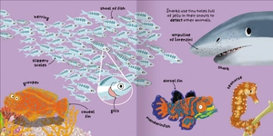 big words for little experts - animals