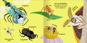 big words for little experts - animals