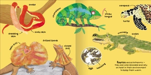 big words for little experts - animals