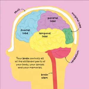 big words for little experts - body