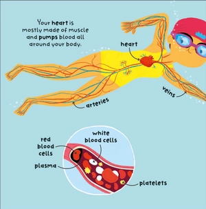 big words for little experts - body