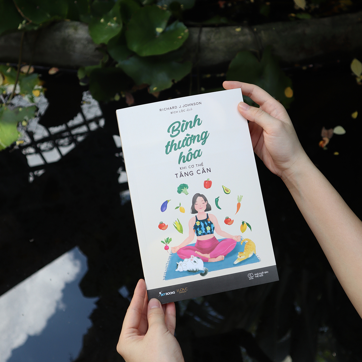 bình thường hóa khi cơ thể tăng cân