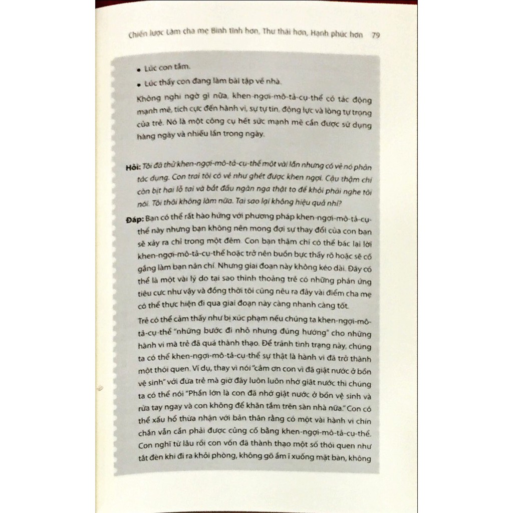 bình tĩnh rèn con - chiến lược làm cha mẹ
