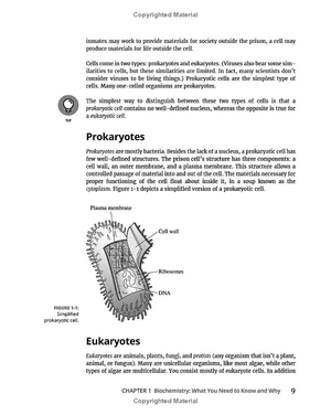 biochemistry for dummies 3rd edtion