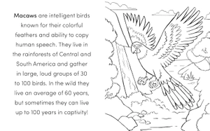 bird book for kids